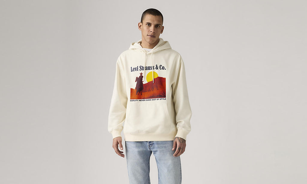 Levi's Relaxed Graphic Archival Western Sweater