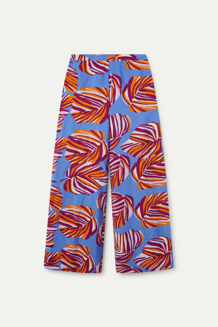 Alocasia Pants Compania Fantastica