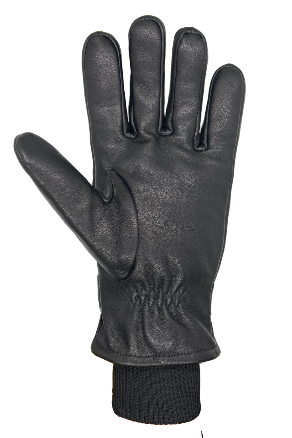 Gloves Owen Black Auclair