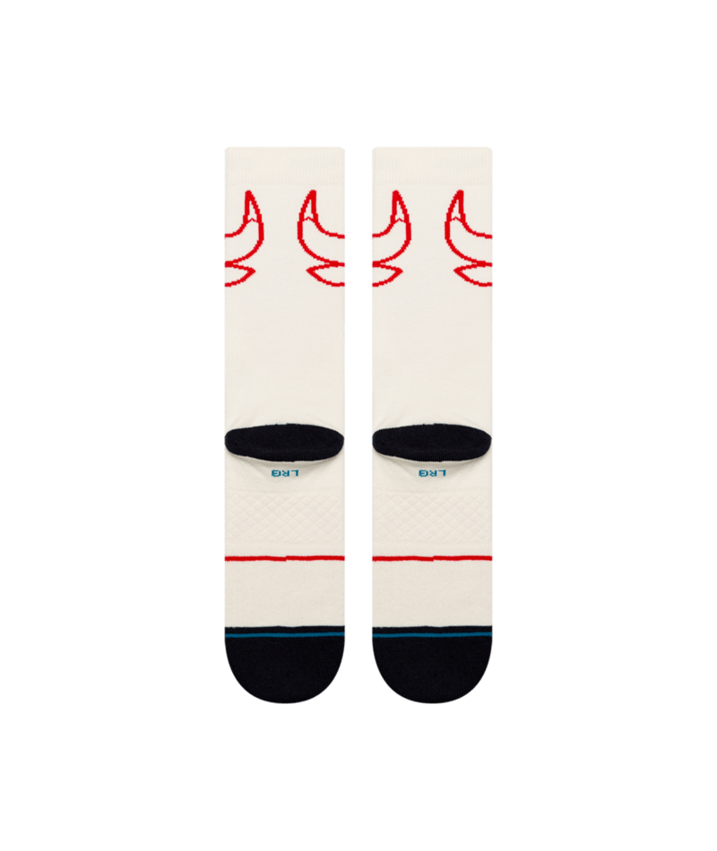NBA Banner Chicago Stance Bottom