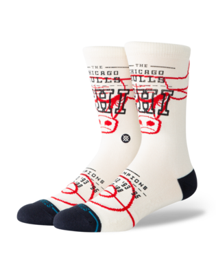 NBA Banner Chicago Stance Bottom