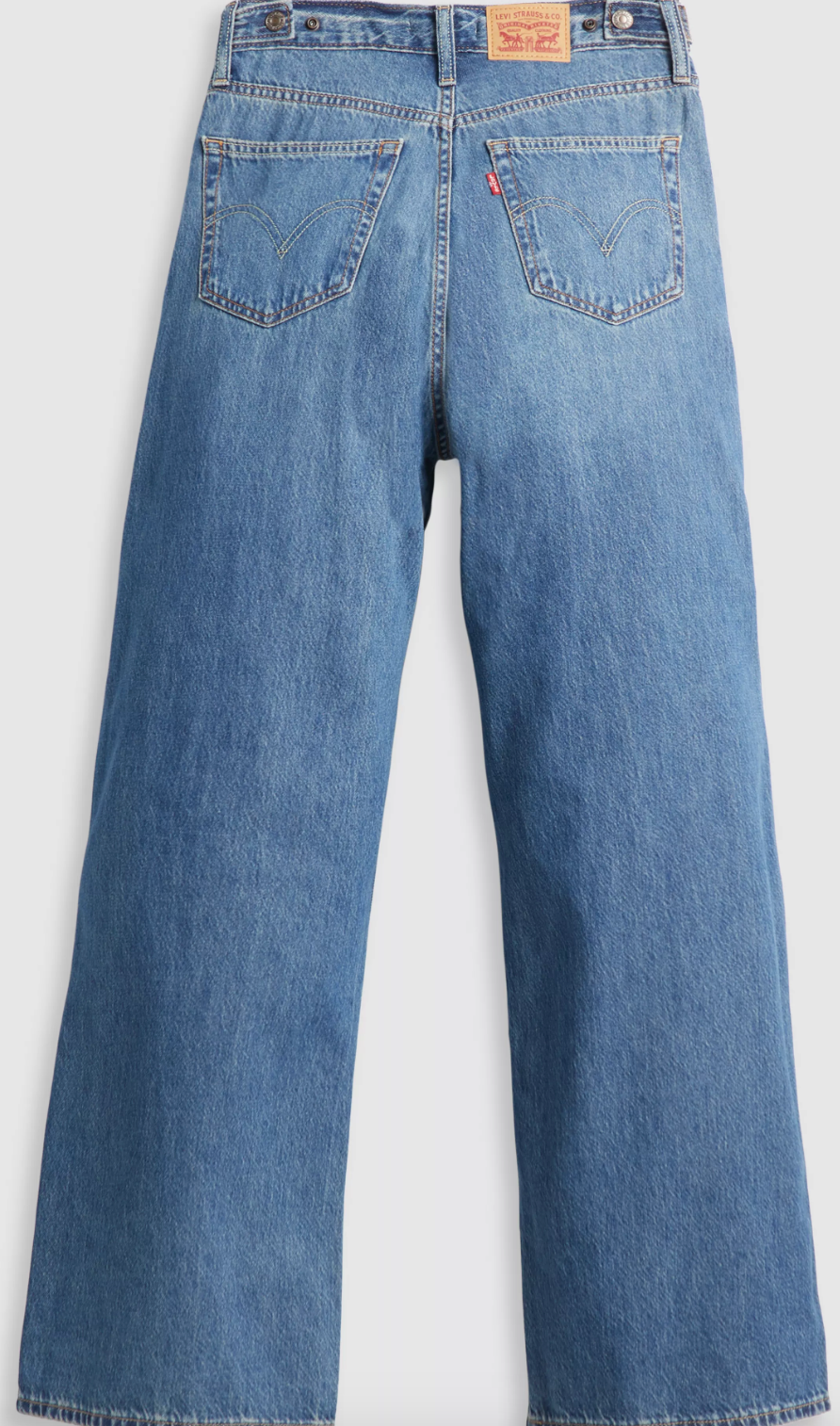 Levi's Cinch Baggy Chasing Dreams Jeans
