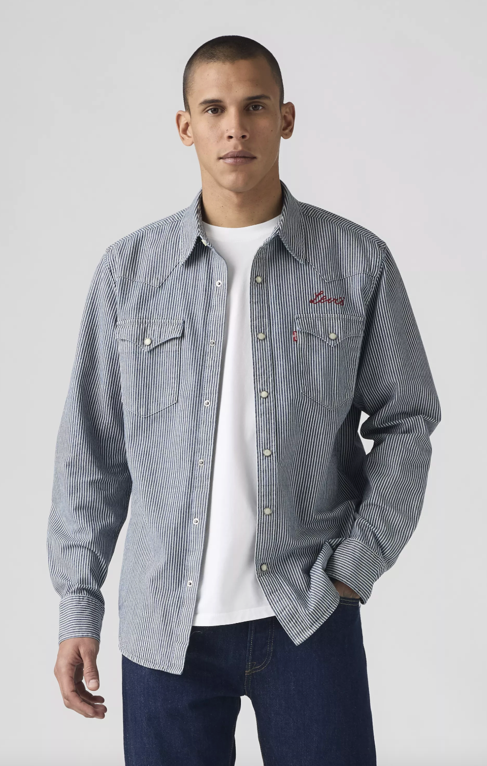 Levi's Classic Western Roadtrip Stripe Shirt