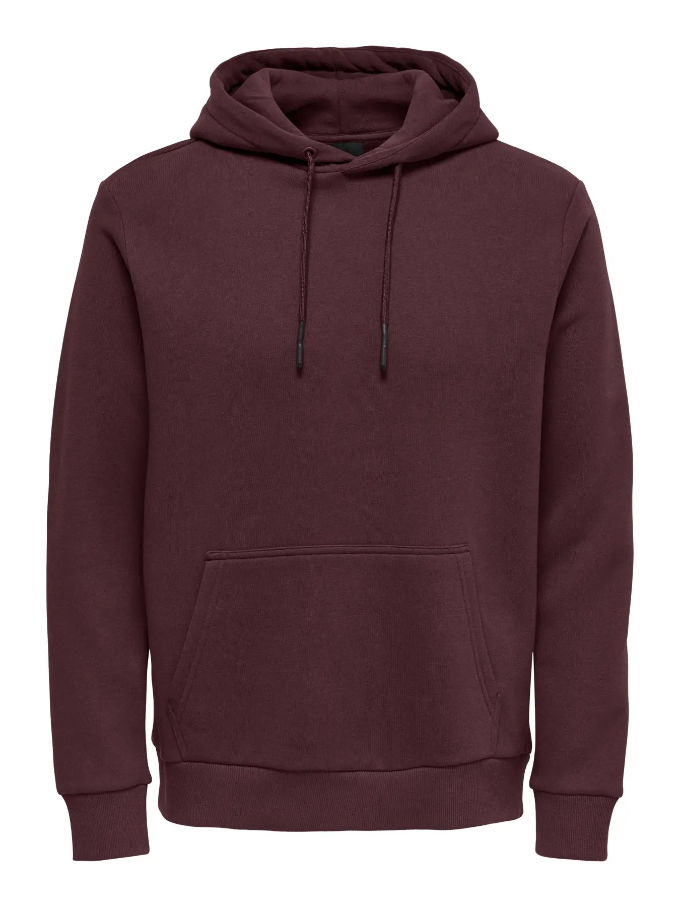 Chandail Ceres Hoodie Huckleberry Only & Sons