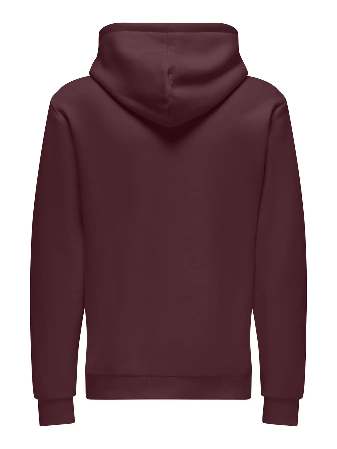 Chandail Ceres Hoodie Port Royal Only & Sons