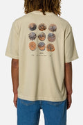 T-Shirt Specimen Box Beige Pelican Katin