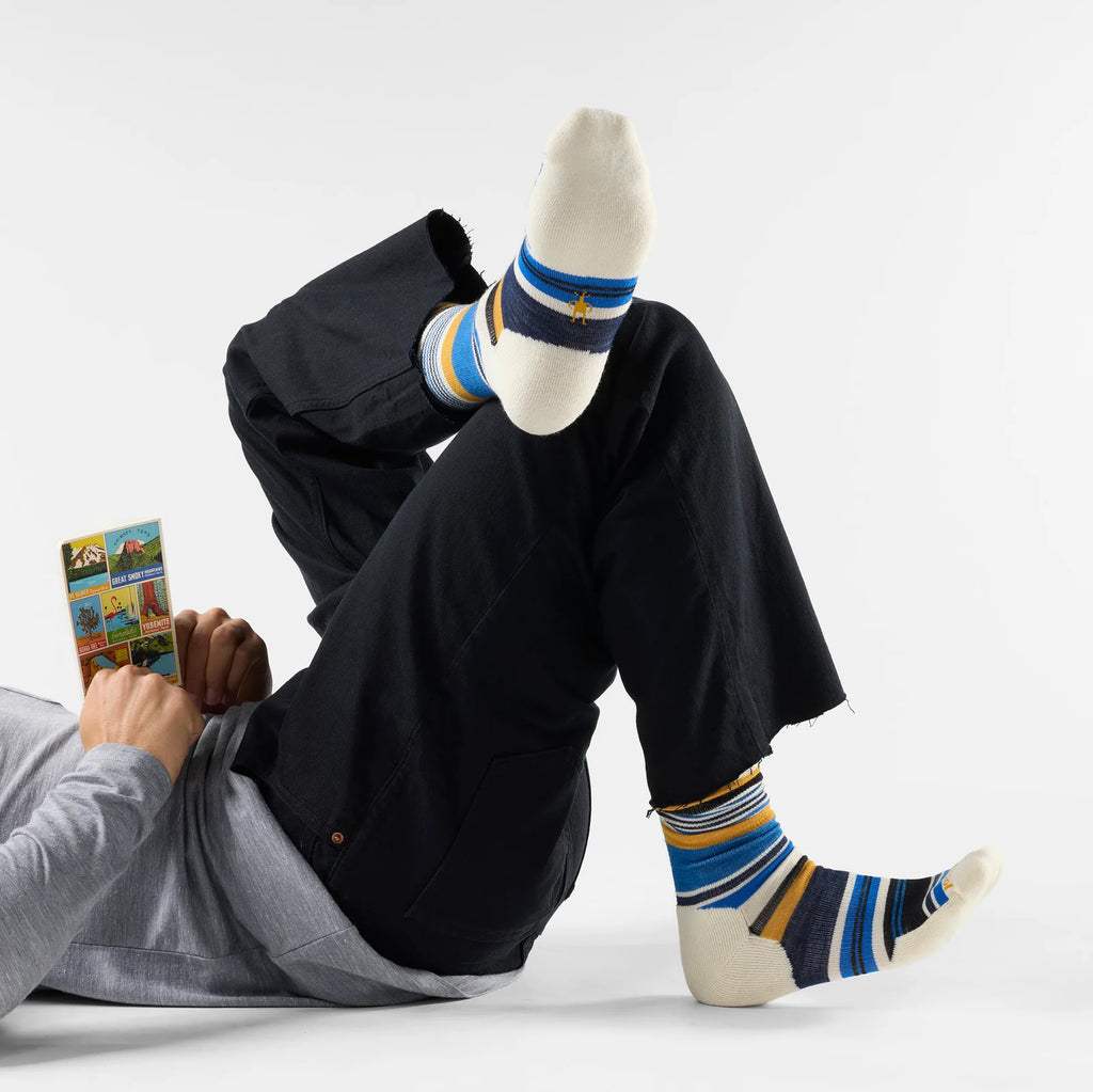 Men's Everyday Joviansphere Smartwool Socks