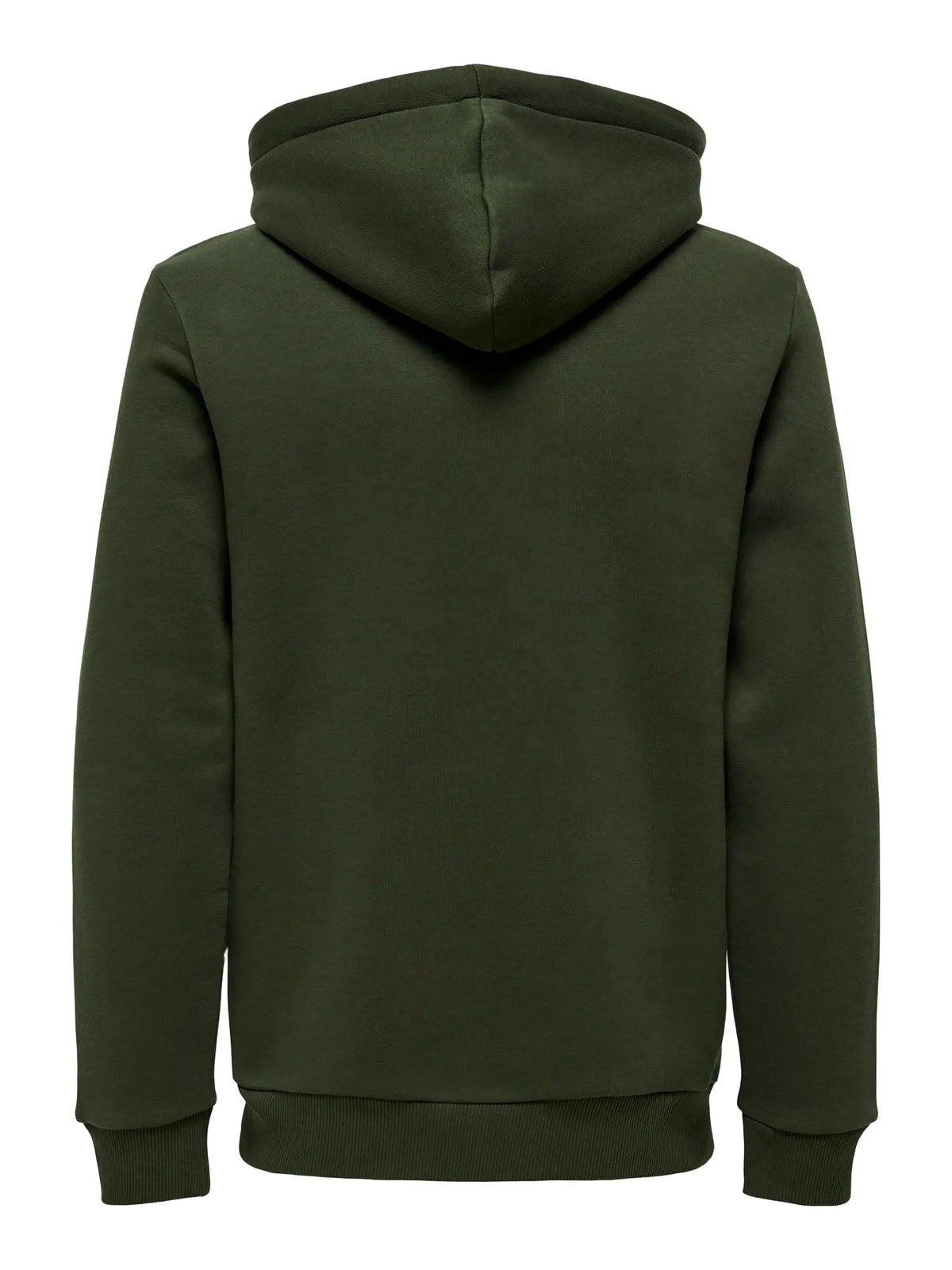 Chandail Ceres Hoodie Vert Rosin Only & Sons