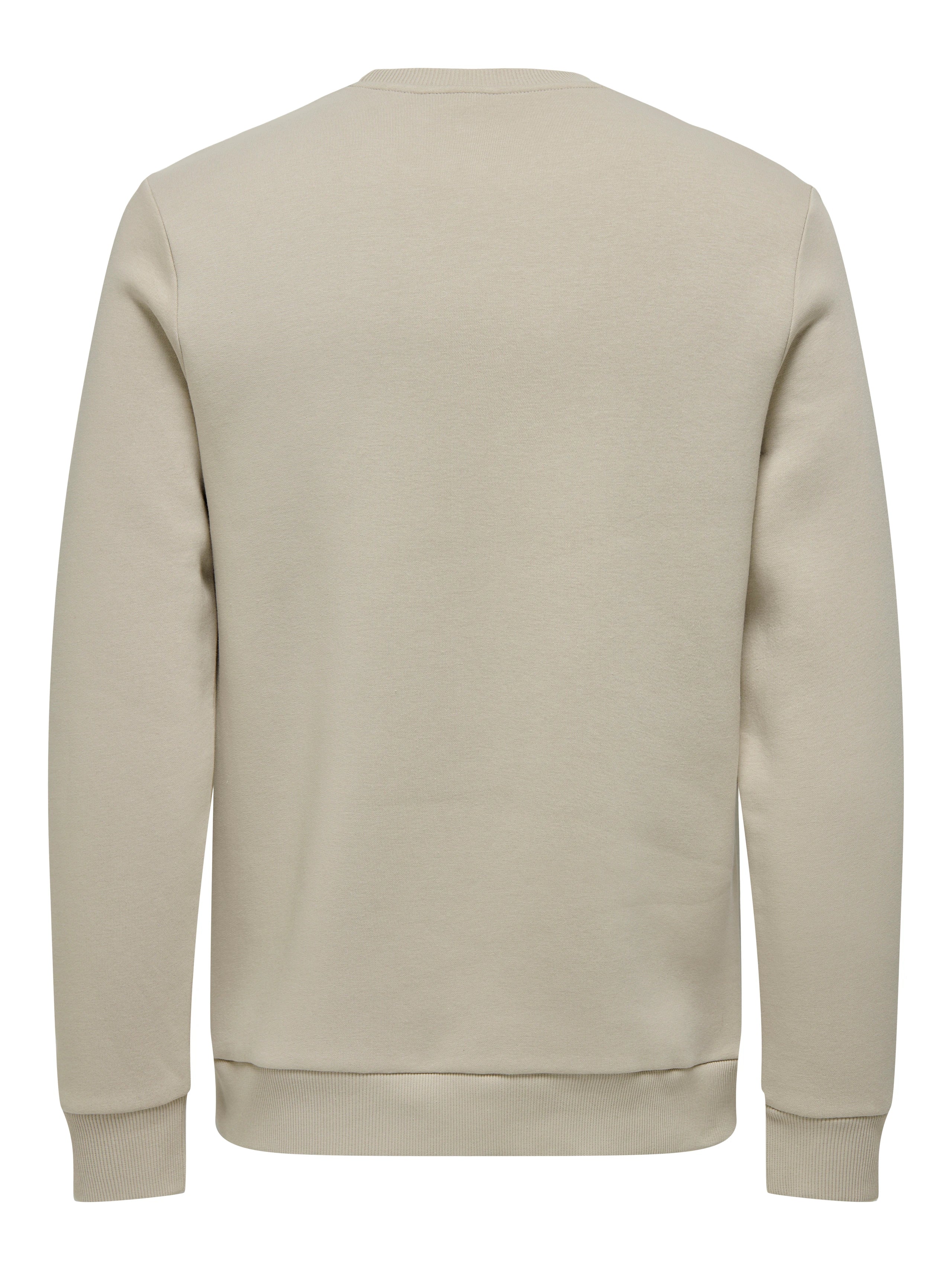 Ceres Crew Silver Lining Only & Sons Sweater