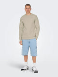 Ceres Crew Silver Lining Only & Sons Sweater