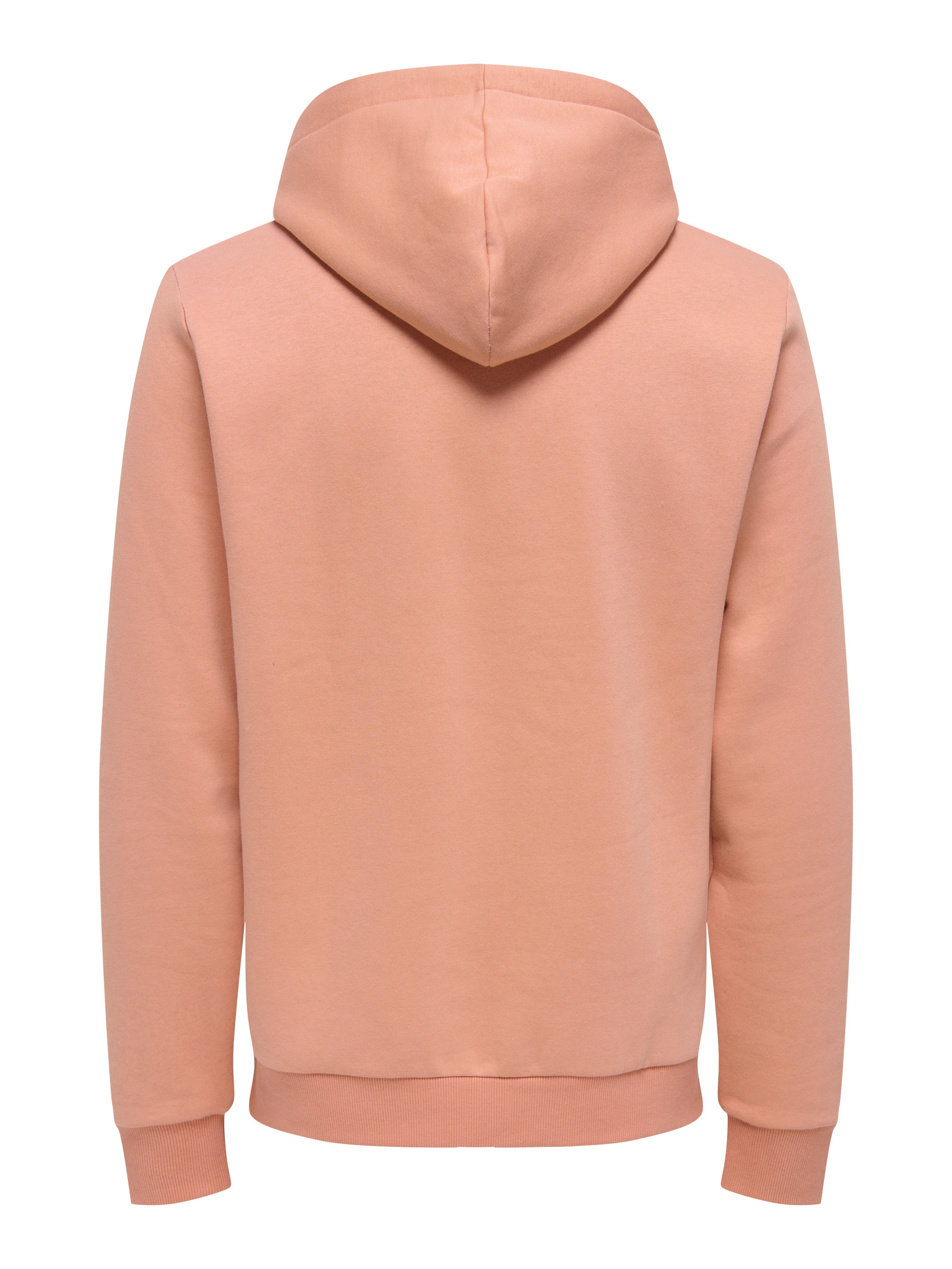 Ceres Hoodie Cork Only & Sons